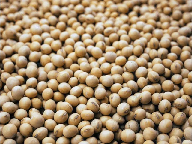 Soybeans