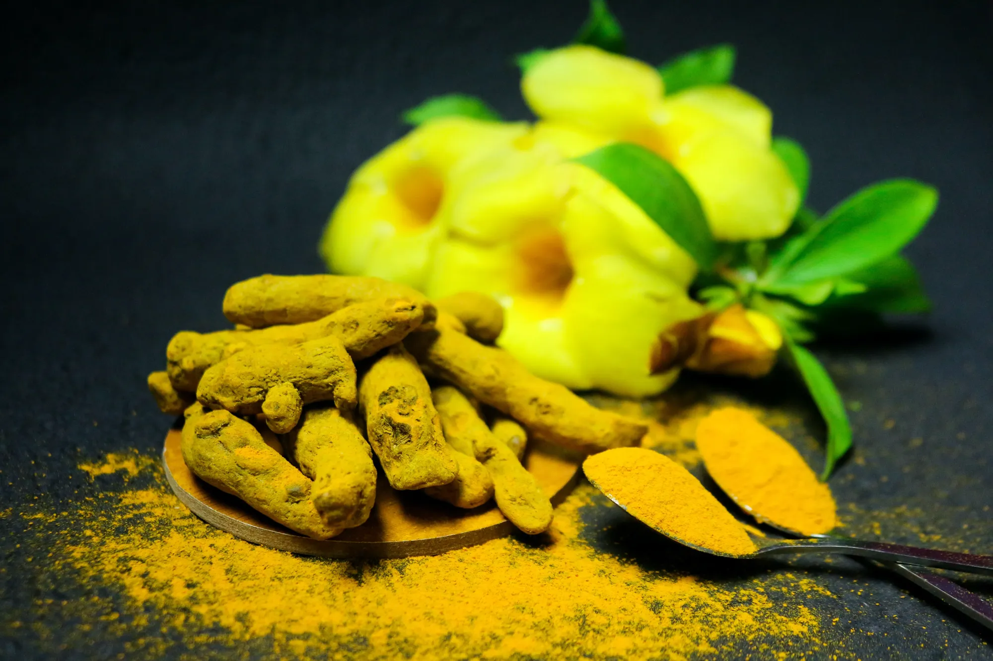 Turmeric Powder