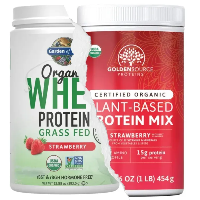 The 5 Best Strawberry Protein Powder Brands Highend Reports