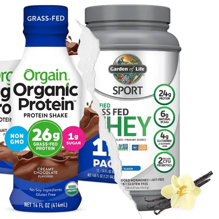 The 5 Best Whey Protein For Diabetics Highend Reports