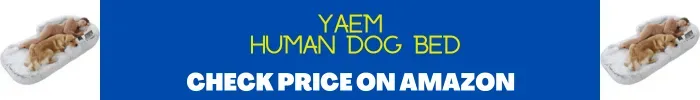 YAEM Human Dog Bed Display