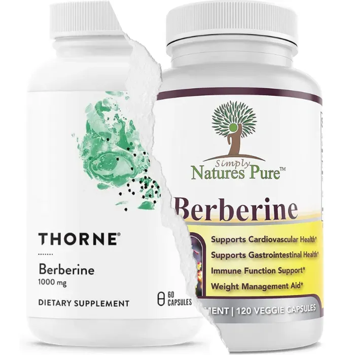 Best Berberine Supplements