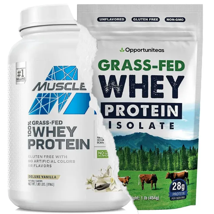 Cheapest Whey Protein 