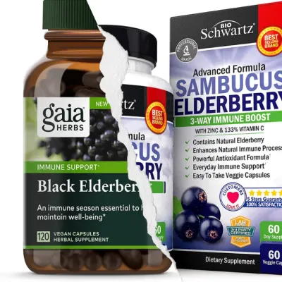 The 6 Best Elderberry Supplement Brands