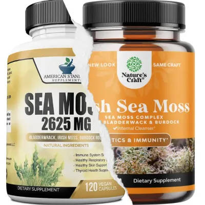 The 5 Best Sea Moss Supplement Choices