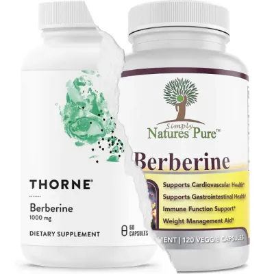 The 5 Best Berberine Supplements on the Market