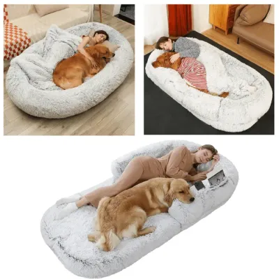 The 4 Best Dog Beds For You And Your Dog